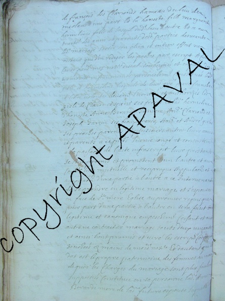 2E12163_386v.JPG