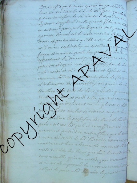 2E12163_387v.JPG