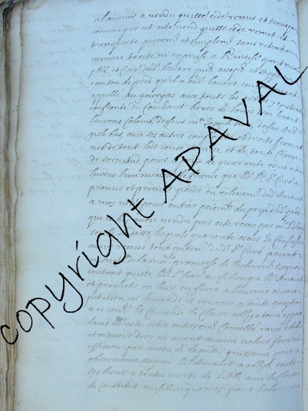 2E12163_390v.JPG