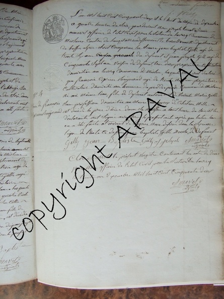 E11_NMD_153.jpg