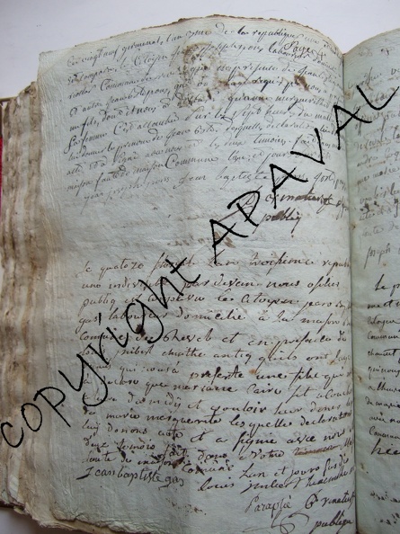 GG11_207.jPg
