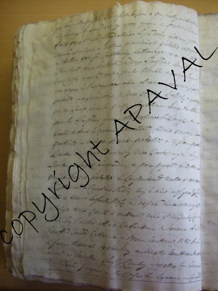 B187_025v.JpG