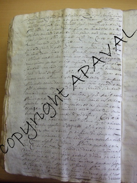 B187_028v.jPg