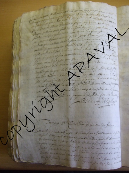 B187_036v.jPg
